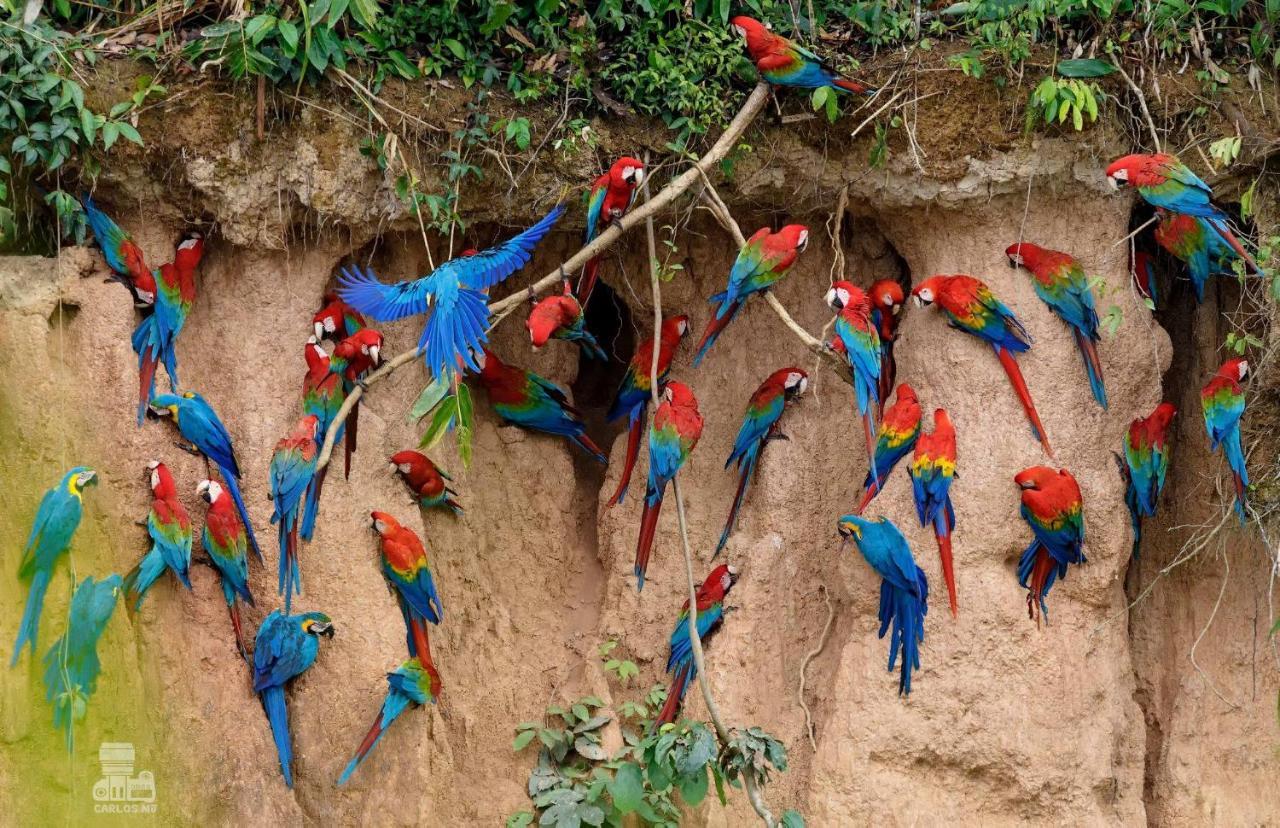 Monte Amazonico Lodge Тамбопата Экстерьер фото